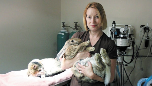 Ellen Norris of Eagle Harbor Veterinary Clinic with a Flemish giant rabbit available for adoption, as well as a feline patient. The veterinary clinic’s Furr Foundation fundraises for veterinary bills that can’t be paid, and also works with rescue groups to find new homes for pets.