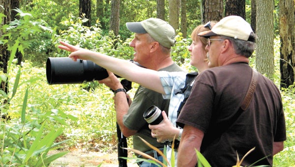 Birdwatchers enjoy a photography walk during the 2012 Great Dismal Swamp Birding Festival. Swamp-related tourism generated $2.4 million in retail sales, taxes and job income, a study found.