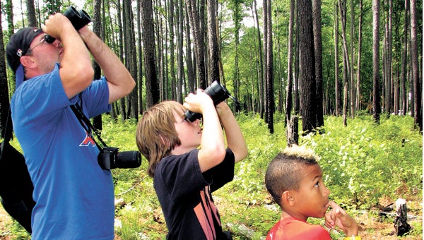 From left, Frank Thomson, son Braeden Thomson, 10, and friend Alexander Moody, also 10, look for birds during a previous year’s Great Dismal Swamp National Wildlife Refuges birding festival. This year’s festival is next week.