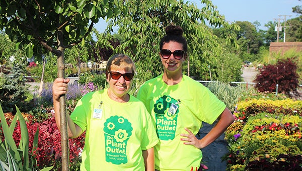 Cheryl Lajoie and Toree Hamilton stand amid the lush foliage at The Plant Outlet @ Lancaster Farms, the wholesale nursery’s recent venture to sell directly to the public.