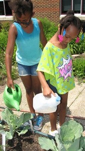 Niyah Gaston, left, and Sinayae Leary, third-graders at Booker T. Washington Elementary School, water cabbage in the school’s garden on Monday.