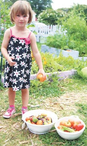 Ainsley Lowe, 3, drops tomatoes into the bowl during a work session in The Children’s Garden at Ebenezer United Methodist Church on Tuesday.