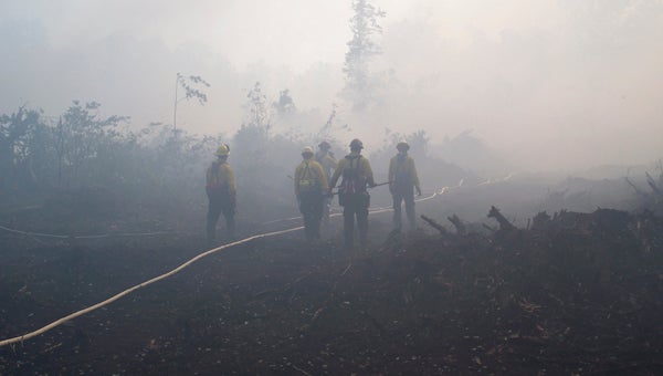 Wildland firefighters fight a fire in the Great Dismal Swamp National Wildlife Refuge in 2011. (Courtesy Great Dismal Swamp National Wildlife Refuge)
