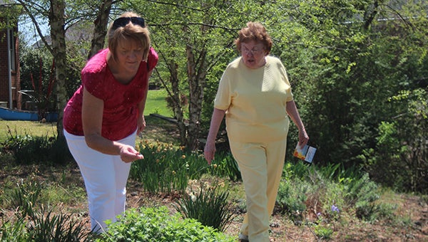 Dell Shankles and Faye Keenan, friends visiting from Yorktown, take a closer look at one of the gardens showcased in a Historic Garden Week in Virginia tour, held in Harbour View’s Riverfront community on Saturday.