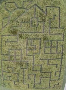 See if you can find the house in the corn maze design. Plan your route, and enjoy the maze and pumpkin patch at Lilley Farms on or after Oct. 1.