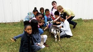 Ms. Wood’s second-grade class from Hillpoint Elementary School gathers to pet a goat at the Virginia Tech Research Extension Farm on Hare Road during Farm Day on Wednesday.