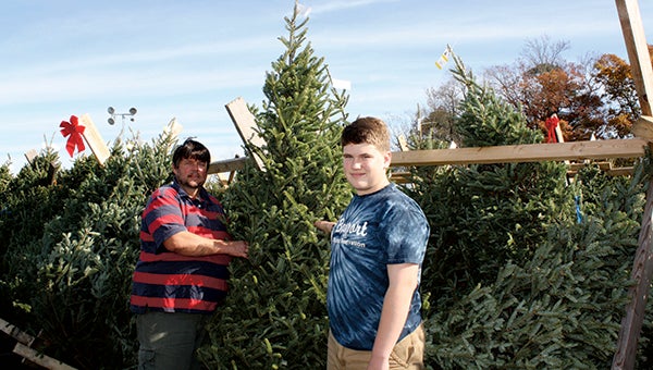 Knights of Columbus-Suffolk member Curtis Mehalko (left) and son, Nolan Mehalko, volunteer at the organization’s Christmas tree lot on Friday.