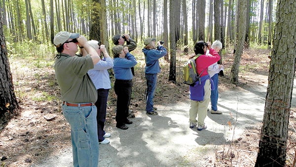 Birdwatchers use binoculars to look out for birds during a prior Birding Festival at the Great Dismal Swamp National Wildlife Refuge.This year’s event is coming up this year. (Submitted Photo)