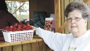 Carol Hollowell pays for her basket of strawberries on opening day at Faith Farms’ pick-your-own patch off U.S. 460.